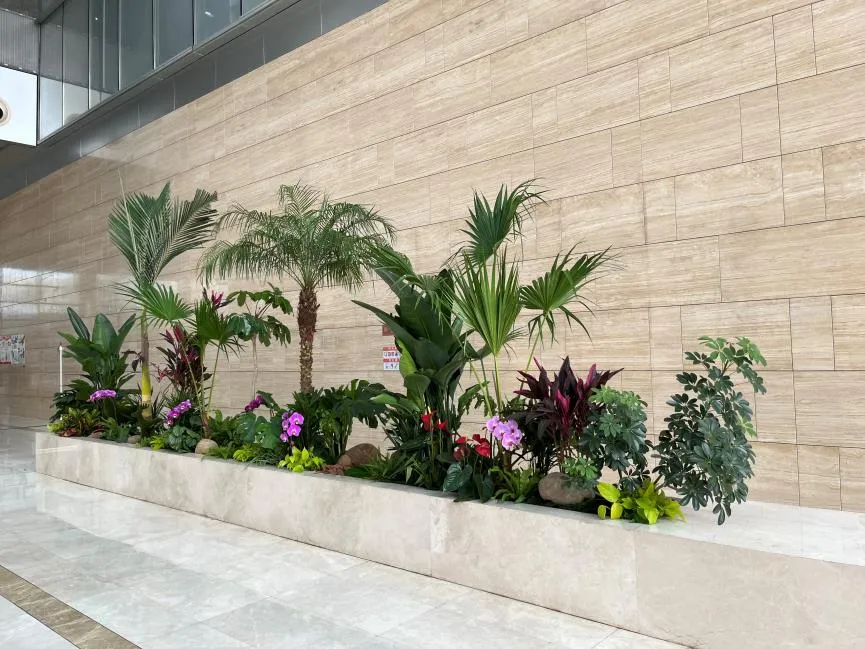 宁波海曙绿植租摆